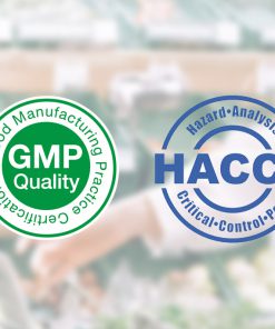 Khóa Học Áp Dụng Haccp & Gmp Trong Sản Xuất Thực Phẩm